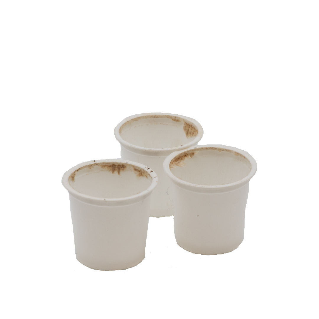 Capsule de café